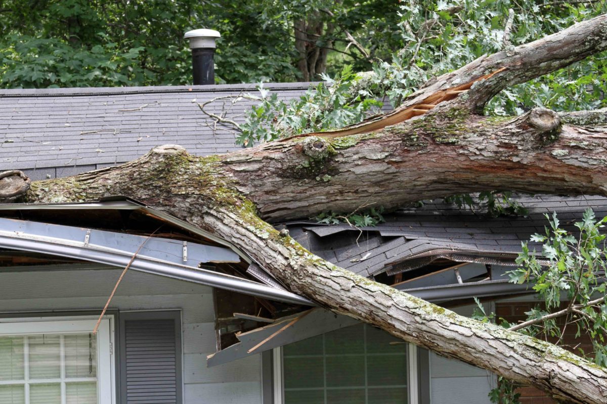 VENTS VIOLENTS l Etes-vous assuré contre les risques de tempête ?