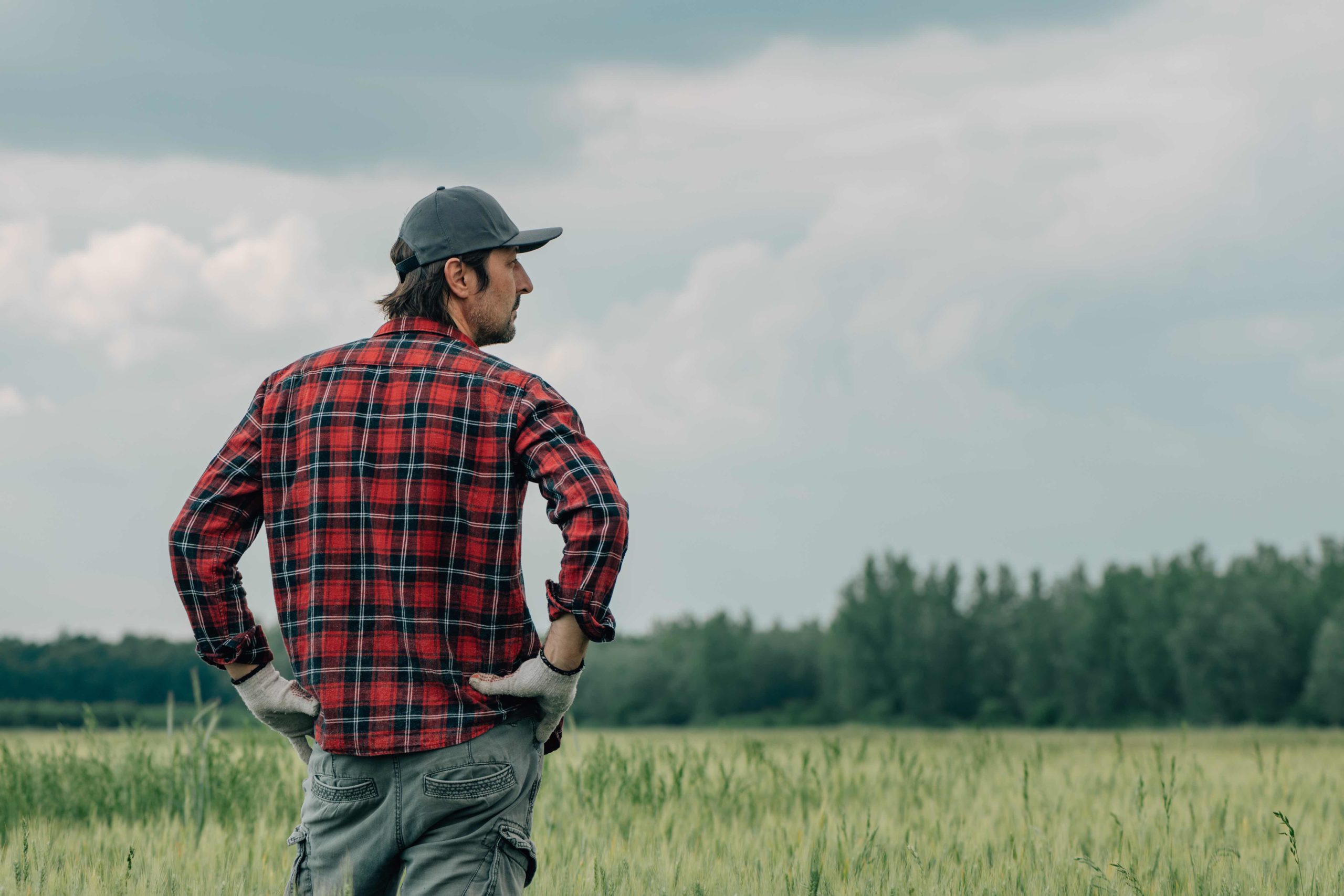Agriculteurs, pourquoi vous devriez souscrire un contrat d’assurance récolte ?