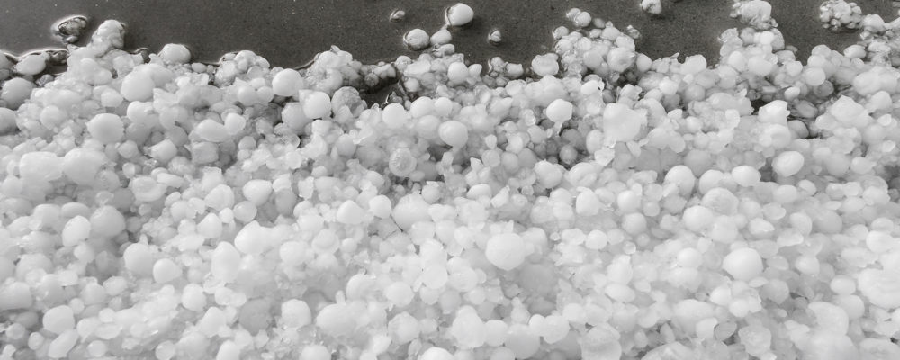 Hailstones after hailstorm, hail of medium size. Disasters. Concept of force of nature.